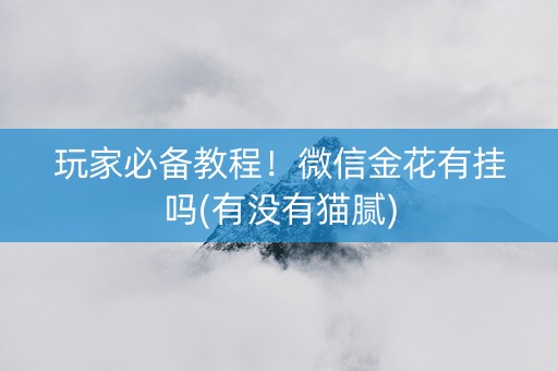 玩家必备教程！微信金花有挂吗(有没有猫腻)