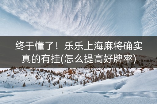 终于懂了！乐乐上海麻将确实真的有挂(怎么提高好牌率)