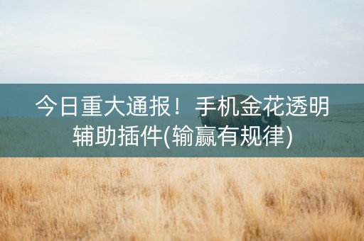 今日重大通报！手机金花透明辅助插件(输赢有规律)