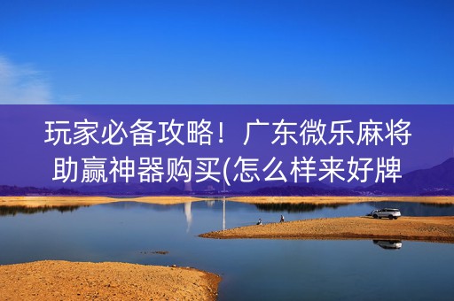 玩家必备攻略！广东微乐麻将助赢神器购买(怎么样来好牌)