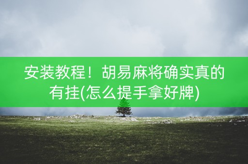 安装教程！胡易麻将确实真的有挂(怎么提手拿好牌)