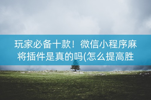 玩家必备十款！微信小程序麻将插件是真的吗(怎么提高胜率)