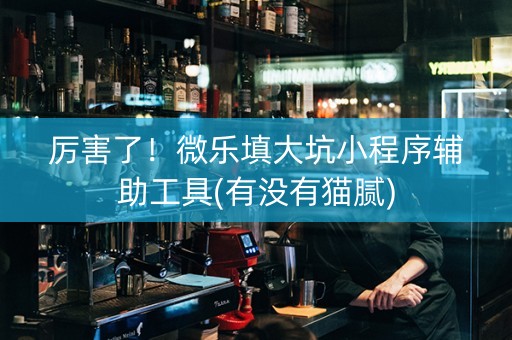 厉害了！微乐填大坑小程序辅助工具(有没有猫腻)
