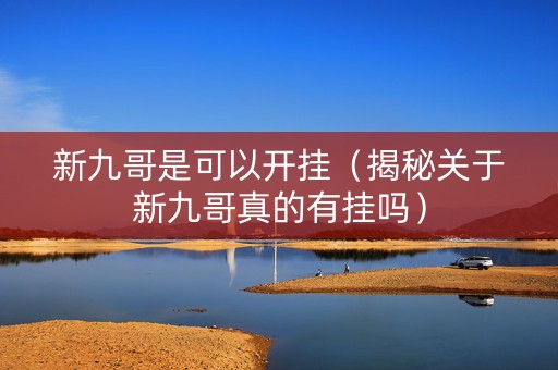 新九哥是可以开挂（揭秘关于新九哥真的有挂吗）