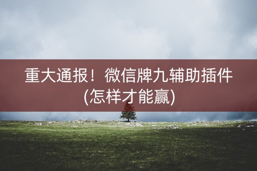 重大通报！微信牌九辅助插件(怎样才能赢)