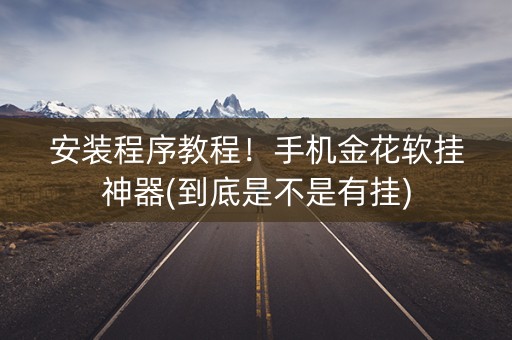安装程序教程！手机金花软挂神器(到底是不是有挂)