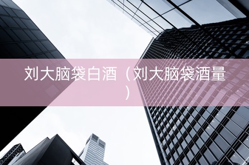 刘大脑袋白酒（刘大脑袋酒量）