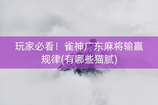 玩家必看！雀神广东麻将输赢规律(有哪些猫腻)