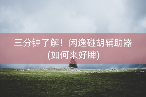 三分钟了解！闲逸碰胡辅助器(如何来好牌)