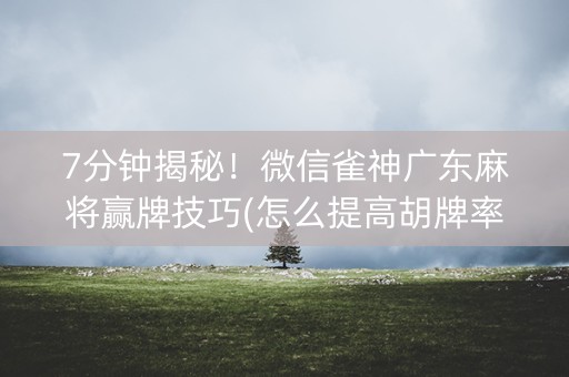 7分钟揭秘！微信雀神广东麻将赢牌技巧(怎么提高胡牌率)