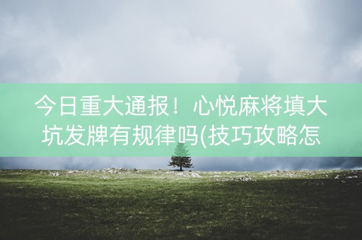 今日重大通报！心悦麻将填大坑发牌有规律吗(技巧攻略怎样拿好牌)