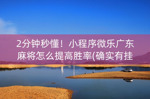 2分钟秒懂！小程序微乐广东麻将怎么提高胜率(确实有挂)
