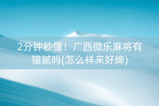 2分钟秒懂！广西微乐麻将有猫腻吗(怎么样来好牌)