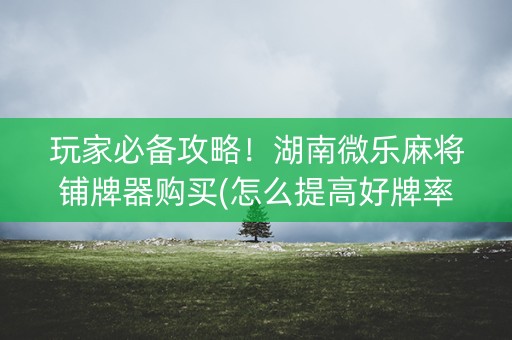 玩家必备攻略！湖南微乐麻将铺牌器购买(怎么提高好牌率)
