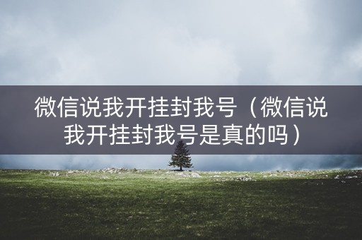 微信说我开挂封我号（微信说我开挂封我号是真的吗）