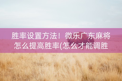 胜率设置方法！微乐广东麻将怎么提高胜率(怎么才能调胜率)