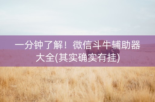 一分钟了解！微信斗牛辅助器大全(其实确实有挂)