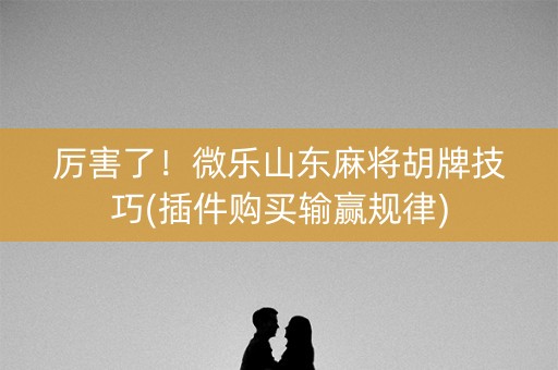 厉害了！微乐山东麻将胡牌技巧(插件购买输赢规律)