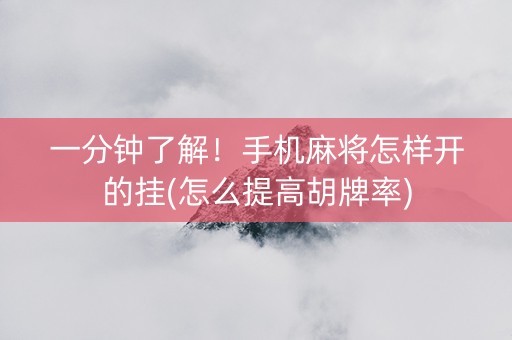 一分钟了解！手机麻将怎样开的挂(怎么提高胡牌率)