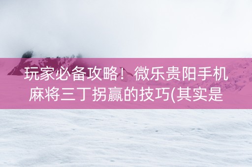 玩家必备攻略！微乐贵阳手机麻将三丁拐赢的技巧(其实是有挂确实有挂)