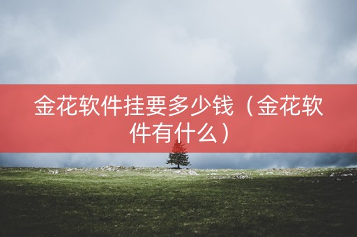 金花软件挂要多少钱（金花软件有什么）