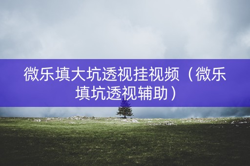 微乐填大坑透视挂视频（微乐填坑透视辅助）