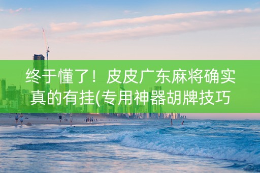 终于懂了！皮皮广东麻将确实真的有挂(专用神器胡牌技巧)