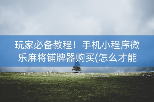 玩家必备教程！手机小程序微乐麻将铺牌器购买(怎么才能赢得多)
