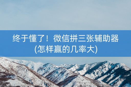 终于懂了！微信拼三张辅助器(怎样赢的几率大)