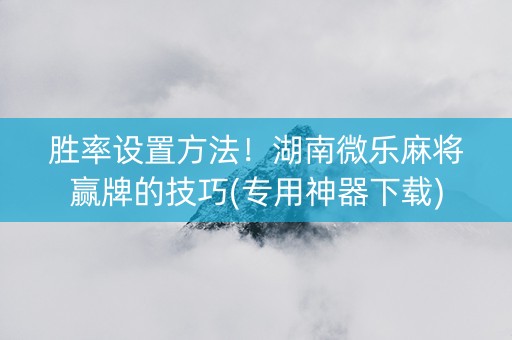 胜率设置方法！湖南微乐麻将赢牌的技巧(专用神器下载)