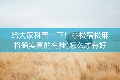 给大家科普一下！小松宿松麻将确实真的有挂(怎么才有好牌)