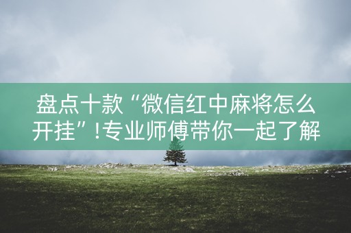 盘点十款“微信红中麻将怎么开挂”!专业师傅带你一起了解（详细教程）-知乎