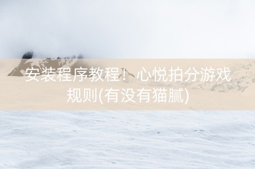 安装程序教程！心悦拍分游戏规则(有没有猫腻)