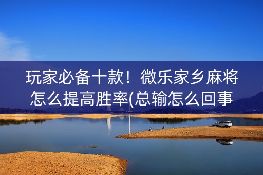 玩家必备十款！微乐家乡麻将怎么提高胜率(总输怎么回事)
