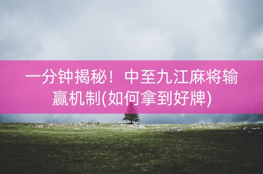 一分钟揭秘！中至九江麻将输赢机制(如何拿到好牌)