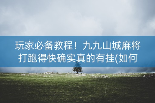 玩家必备教程！九九山城麻将打跑得快确实真的有挂(如何让系统发好牌)