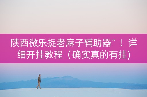 陕西微乐捉老麻子辅助器”！详细开挂教程（确实真的有挂)-知乎