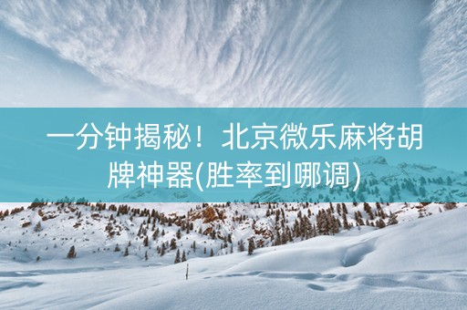 一分钟揭秘！北京微乐麻将胡牌神器(胜率到哪调)