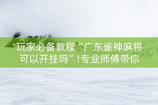 玩家必备教程“广东雀神麻将可以开挂吗”!专业师傅带你一起了解（详细教程）-知乎