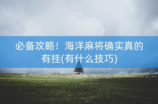 必备攻略！海洋麻将确实真的有挂(有什么技巧)