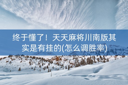 终于懂了！天天麻将川南版其实是有挂的(怎么调胜率)