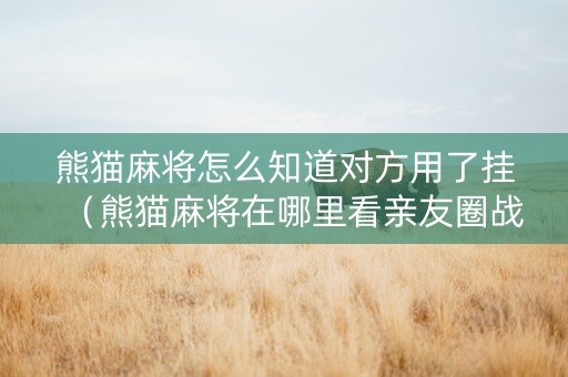 熊猫麻将怎么知道对方用了挂（熊猫麻将在哪里看亲友圈战绩）