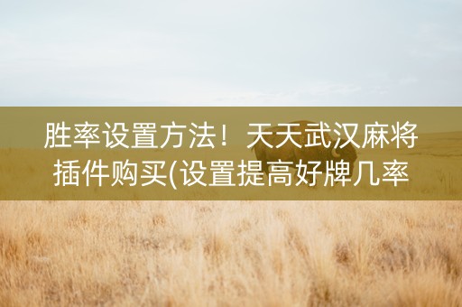 胜率设置方法！天天武汉麻将插件购买(设置提高好牌几率)