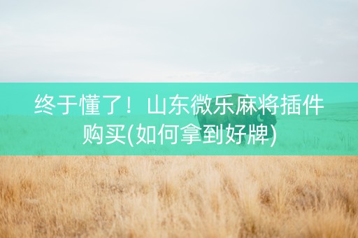 终于懂了！山东微乐麻将插件购买(如何拿到好牌)