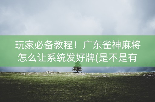 玩家必备教程！广东雀神麻将怎么让系统发好牌(是不是有猫腻)