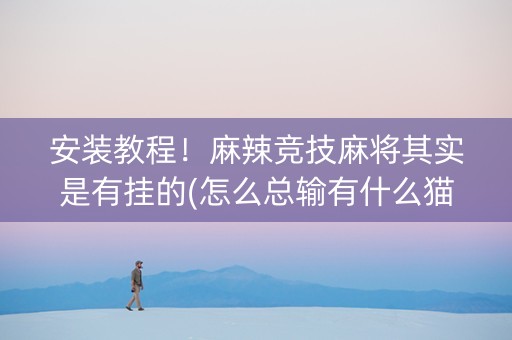 安装教程！麻辣竞技麻将其实是有挂的(怎么总输有什么猫腻)