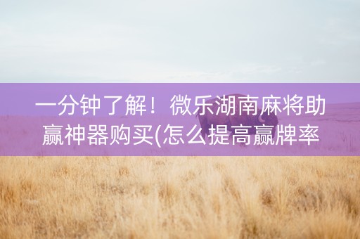 一分钟了解！微乐湖南麻将助赢神器购买(怎么提高赢牌率)