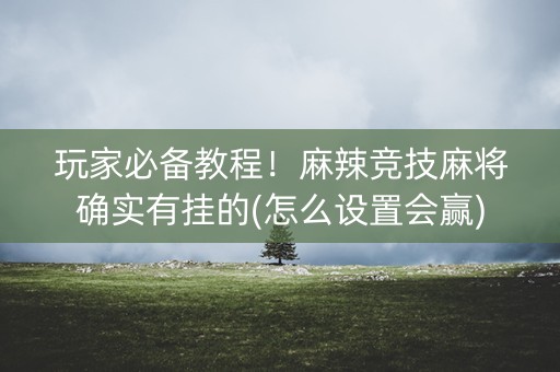 玩家必备教程！麻辣竞技麻将确实有挂的(怎么设置会赢)
