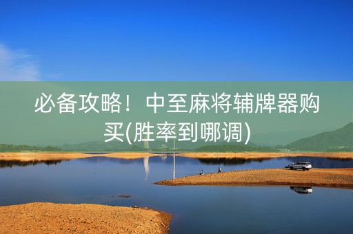 必备攻略！中至麻将辅牌器购买(胜率到哪调)