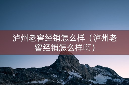 泸州老窖经销怎么样（泸州老窖经销怎么样啊）